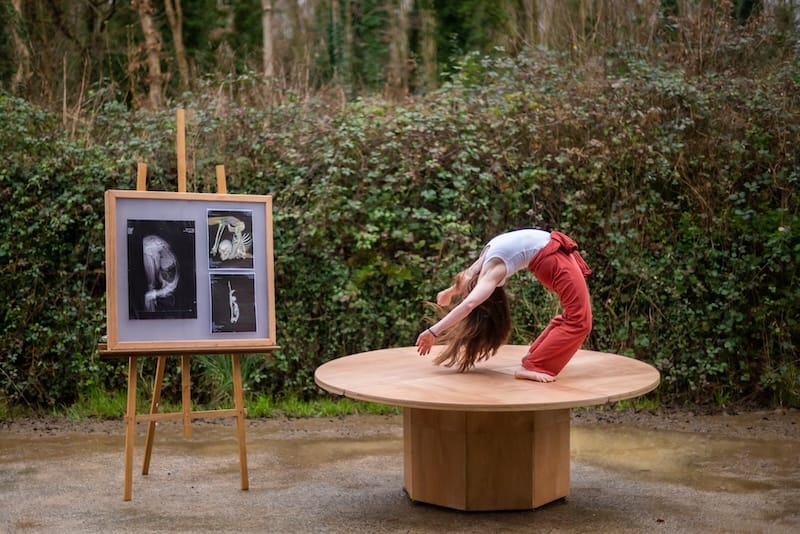 Les Faltaisies | compagnie AMA