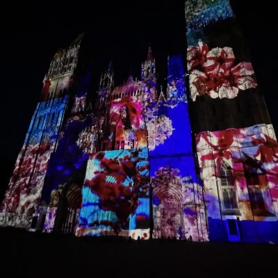 mika-ninagawa-fleur